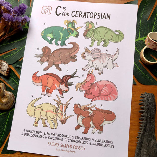 An A4 sized Art Print of the Ceratopsian dinosaur family. Print says “C is for Ceratopsian” and features cute illustrations of Lokiceratops, Pachyrhinosaurus, Triceratops, Zuniceratops, Diabloceratops, Einiosaurus, Styracosaurus and Nasutoceratops!
