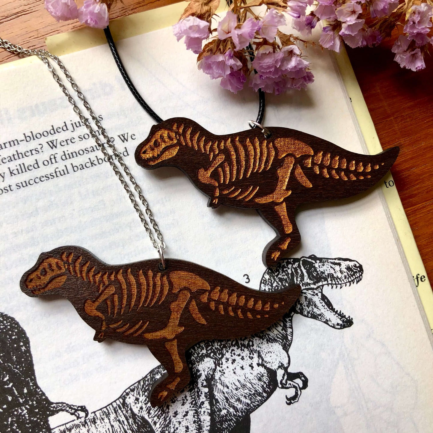 Tyrannosaurus Rex Bundle Box (Preorder)