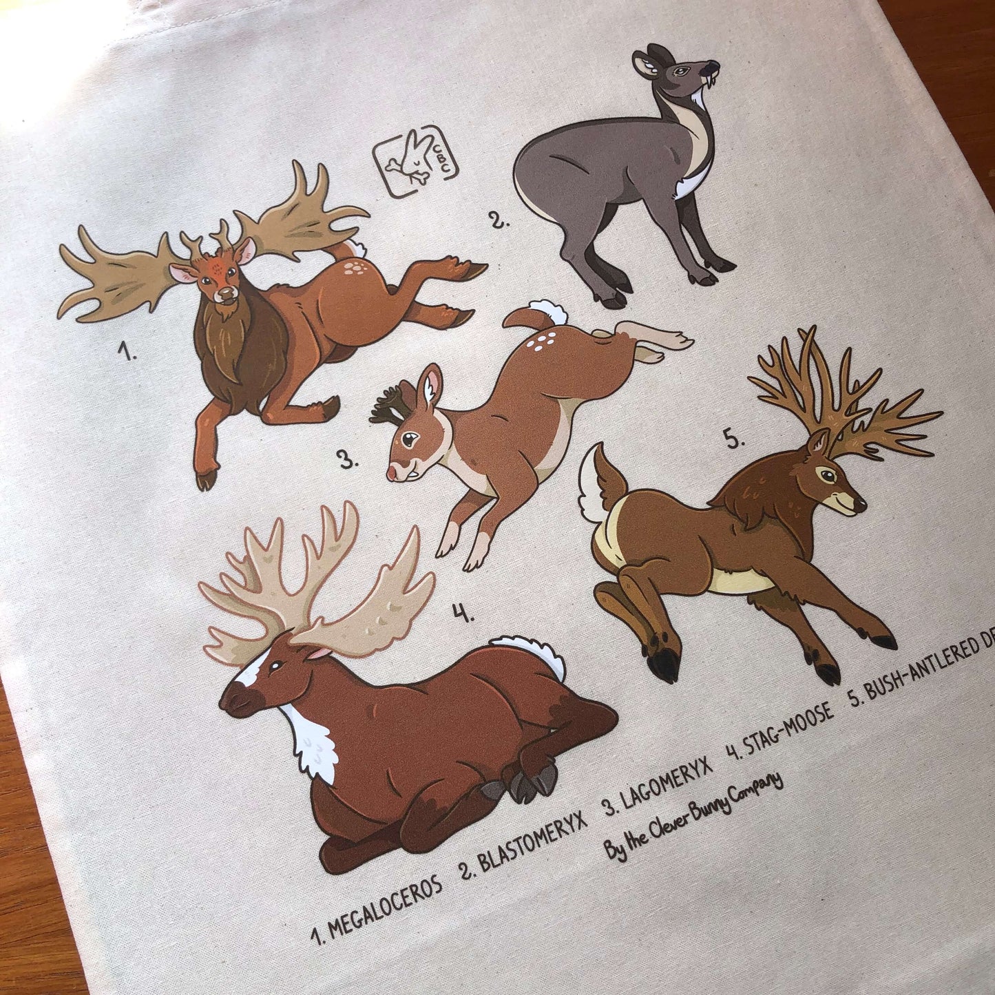 Sale B-Grade Imperfect Tote Bags