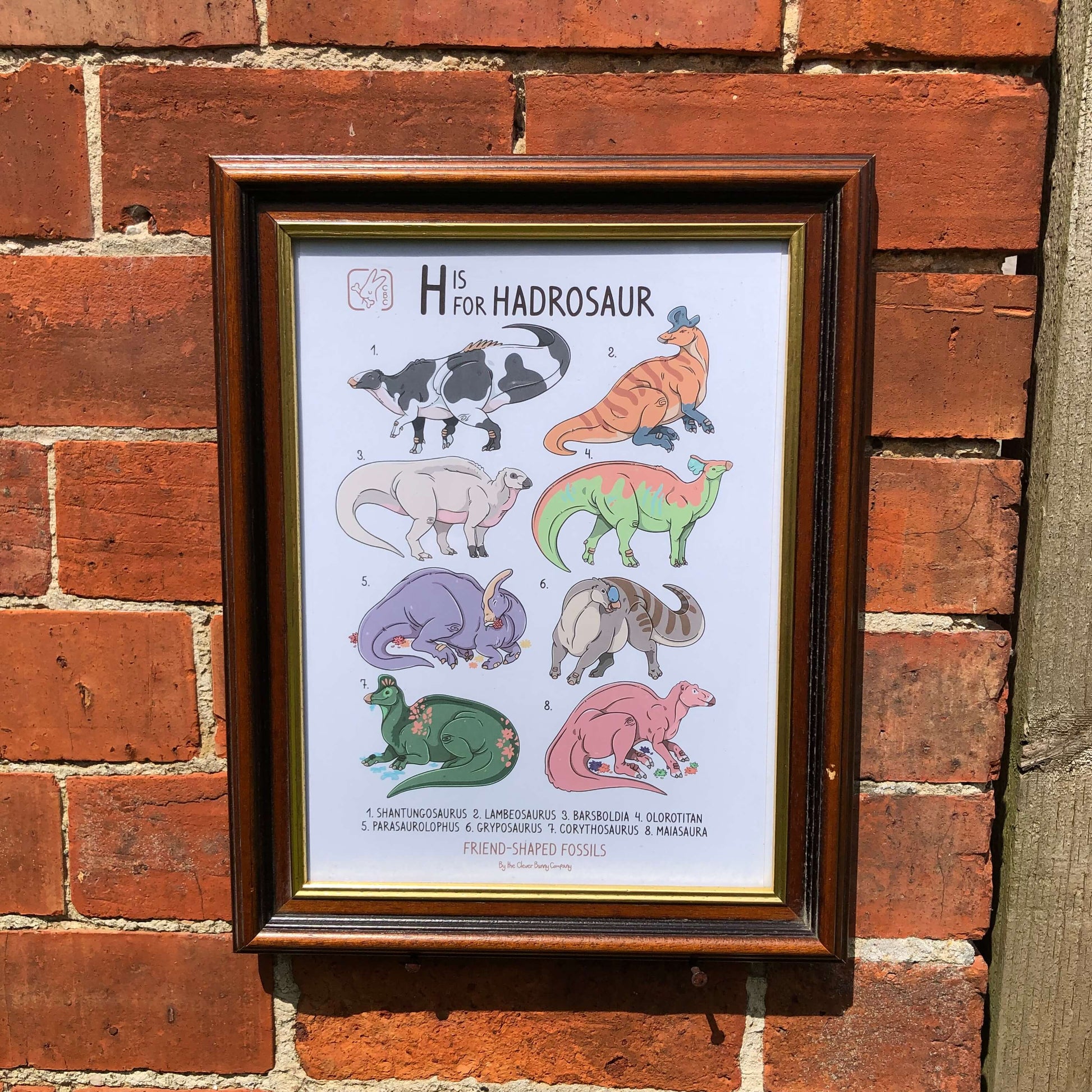 An A4 sized Art Print of the Hadrosaur dinosaur family. Print says “H is for Hadrosaur” and features cute illustrations of Shantungosaurus, Lambeosaurus, Barsboldia, Olorotitan, Parasaurolophus, Gryposaurus, Corythosaurus and Maiasaura. The names are all numbered and written at the bottom of the print.