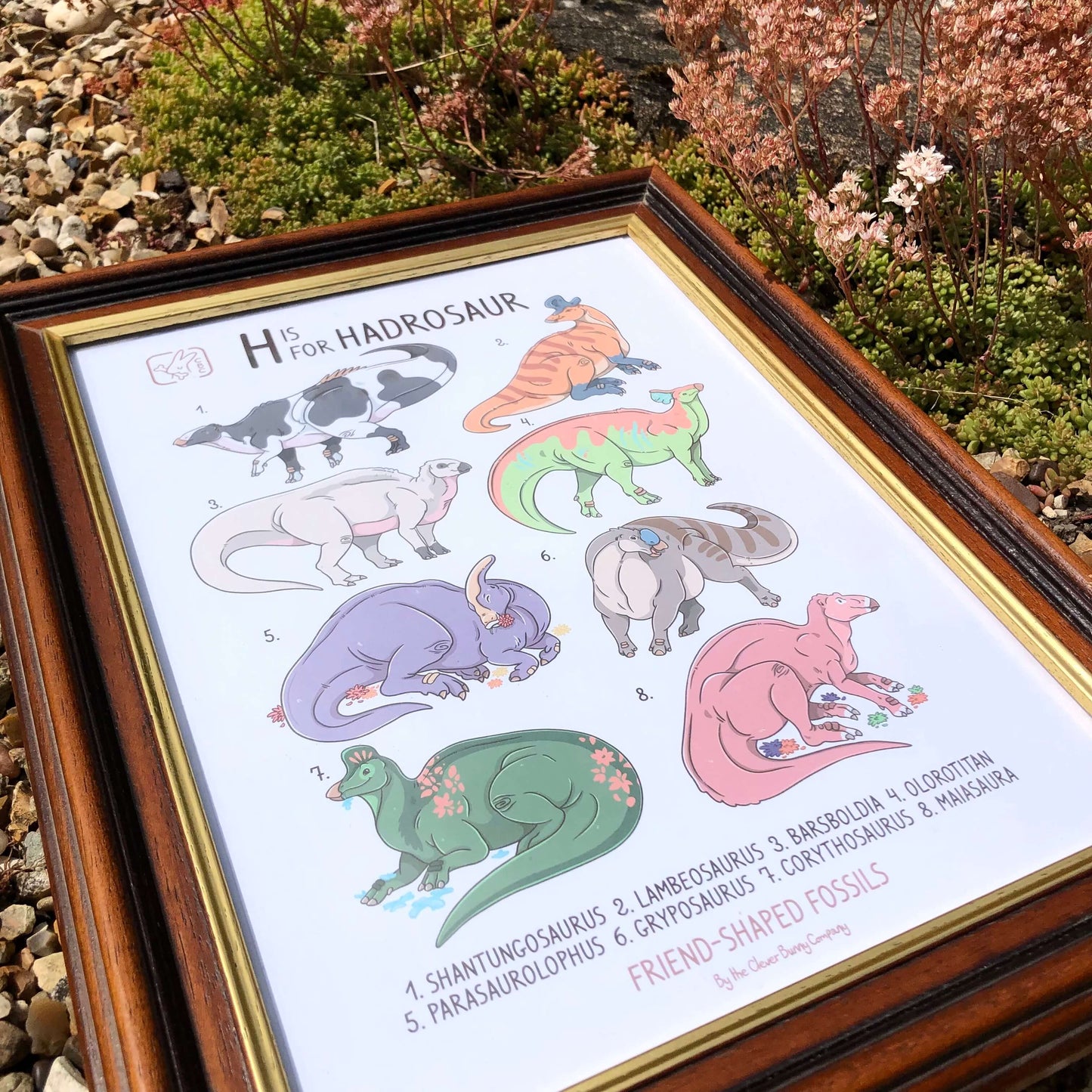 An A4 sized Art Print of the Hadrosaur dinosaur family. Print says “H is for Hadrosaur” and features cute illustrations of Shantungosaurus, Lambeosaurus, Barsboldia, Olorotitan, Parasaurolophus, Gryposaurus, Corythosaurus and Maiasaura. The names are all numbered and written at the bottom of the print.