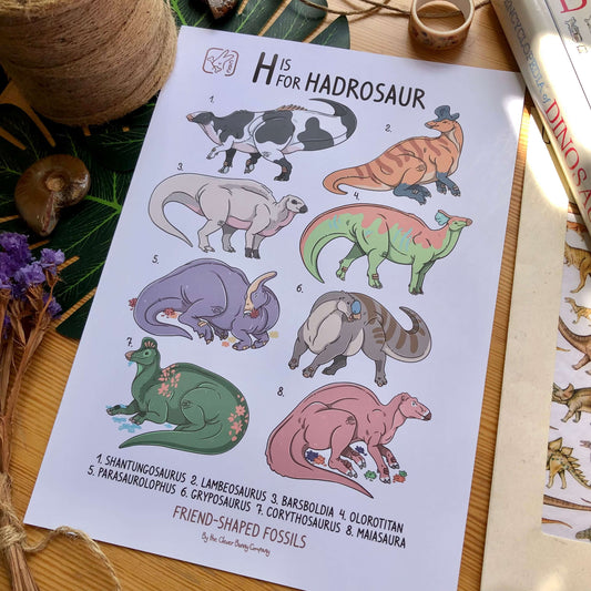 An A4 sized Art Print of the Hadrosaur dinosaur family. Print says “H is for Hadrosaur” and features cute illustrations of Shantungosaurus, Lambeosaurus, Barsboldia, Olorotitan, Parasaurolophus, Gryposaurus, Corythosaurus and Maiasaura. The names are all numbered and written at the bottom of the print.