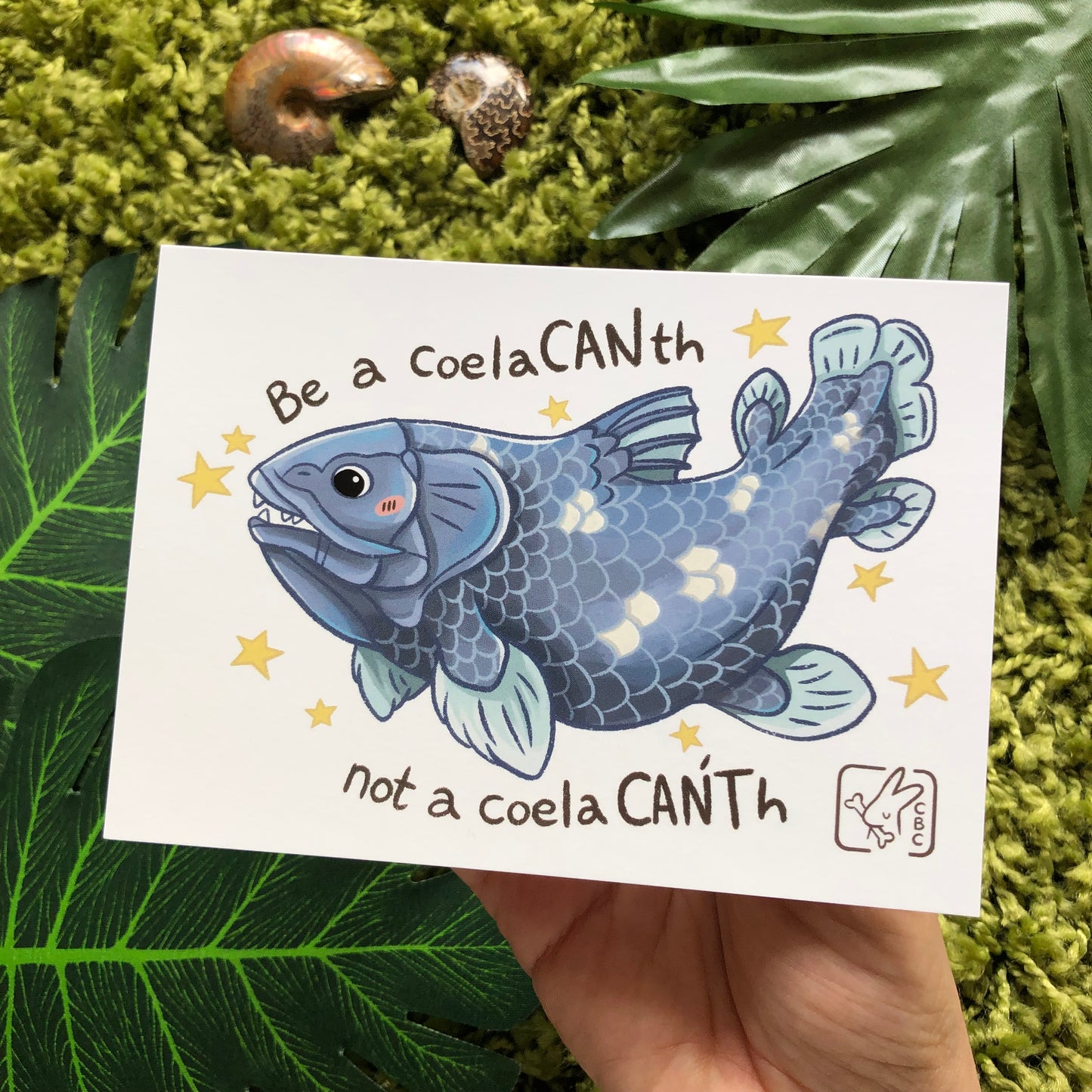 Coelacanth Postcard