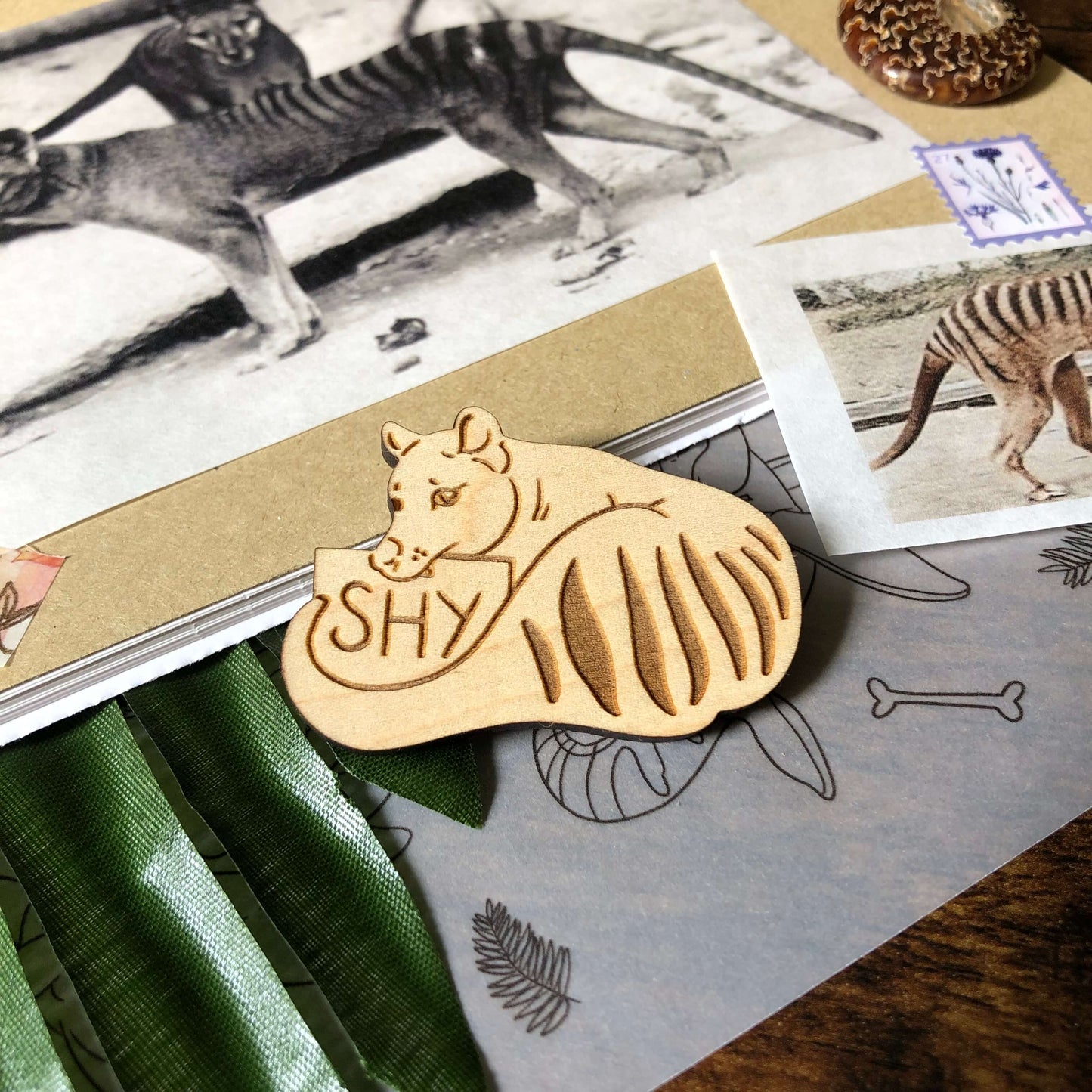 A wooden engraved pin badge of a Thylacine holding a sign that reads “shy”.