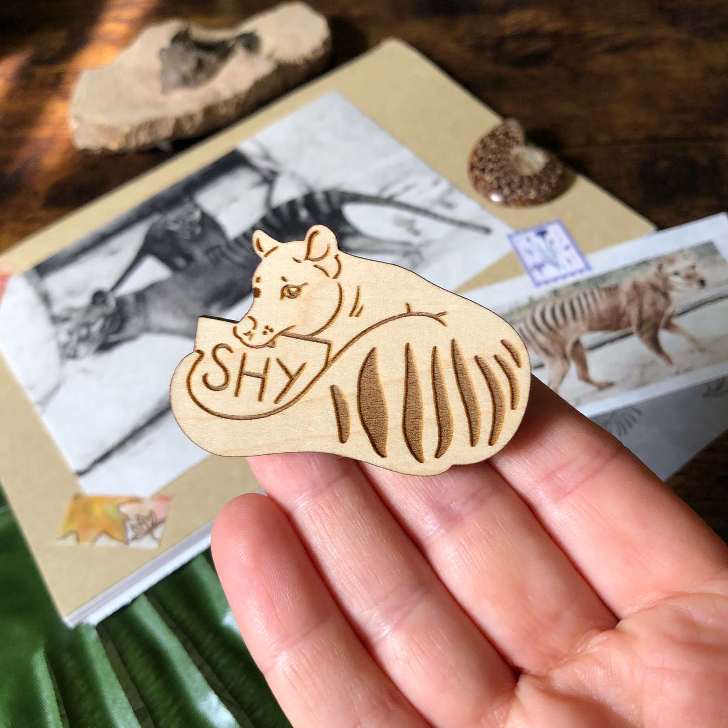 A wooden engraved pin badge of a Thylacine holding a sign that reads “shy”.