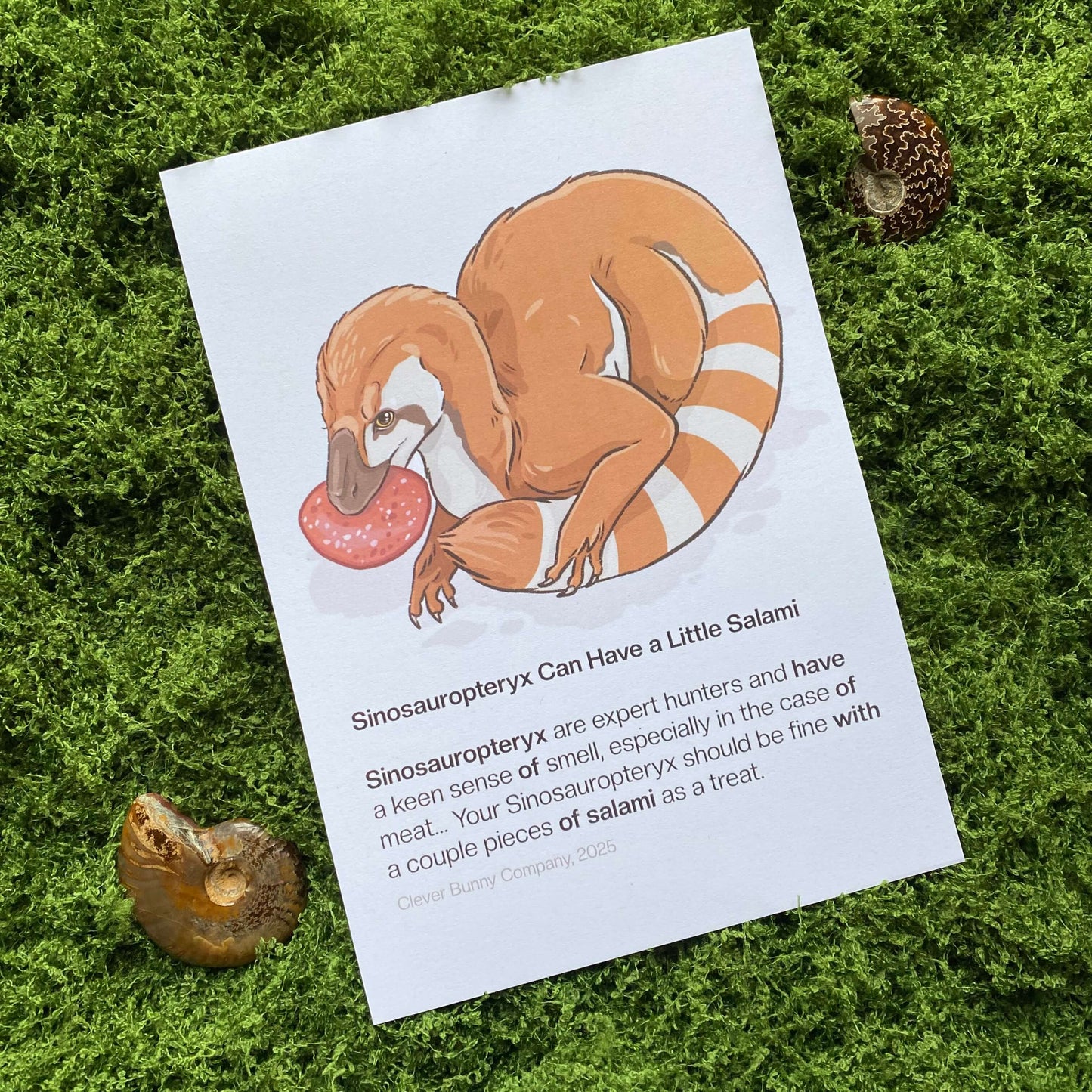 Sinosauropteryx Can Have A Little Salami Meme Art Print