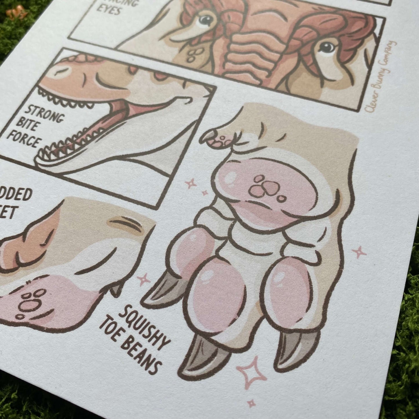 Tyrannosaurus rex Anatomy Print